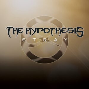 The Hypothesis - Stray