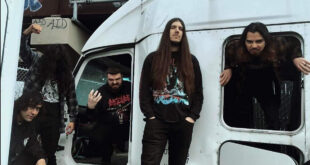 Coffin Rot