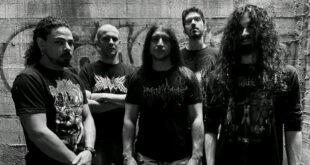 PUTRIDITY
