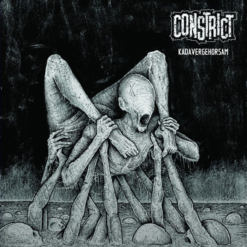 Constrict - Kadavergehorsam EP artwork German grindcore 2025