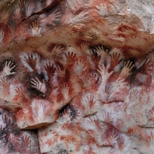 fauna ochre